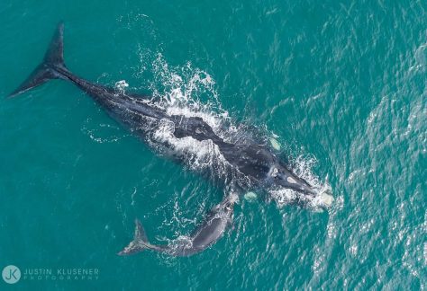 South Coast Activities   San Lameer | South Africas Own Tropical Paradise