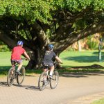 south coast activities